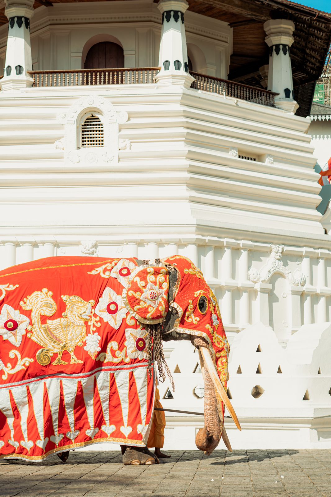 Colombo taxi airport gallery image