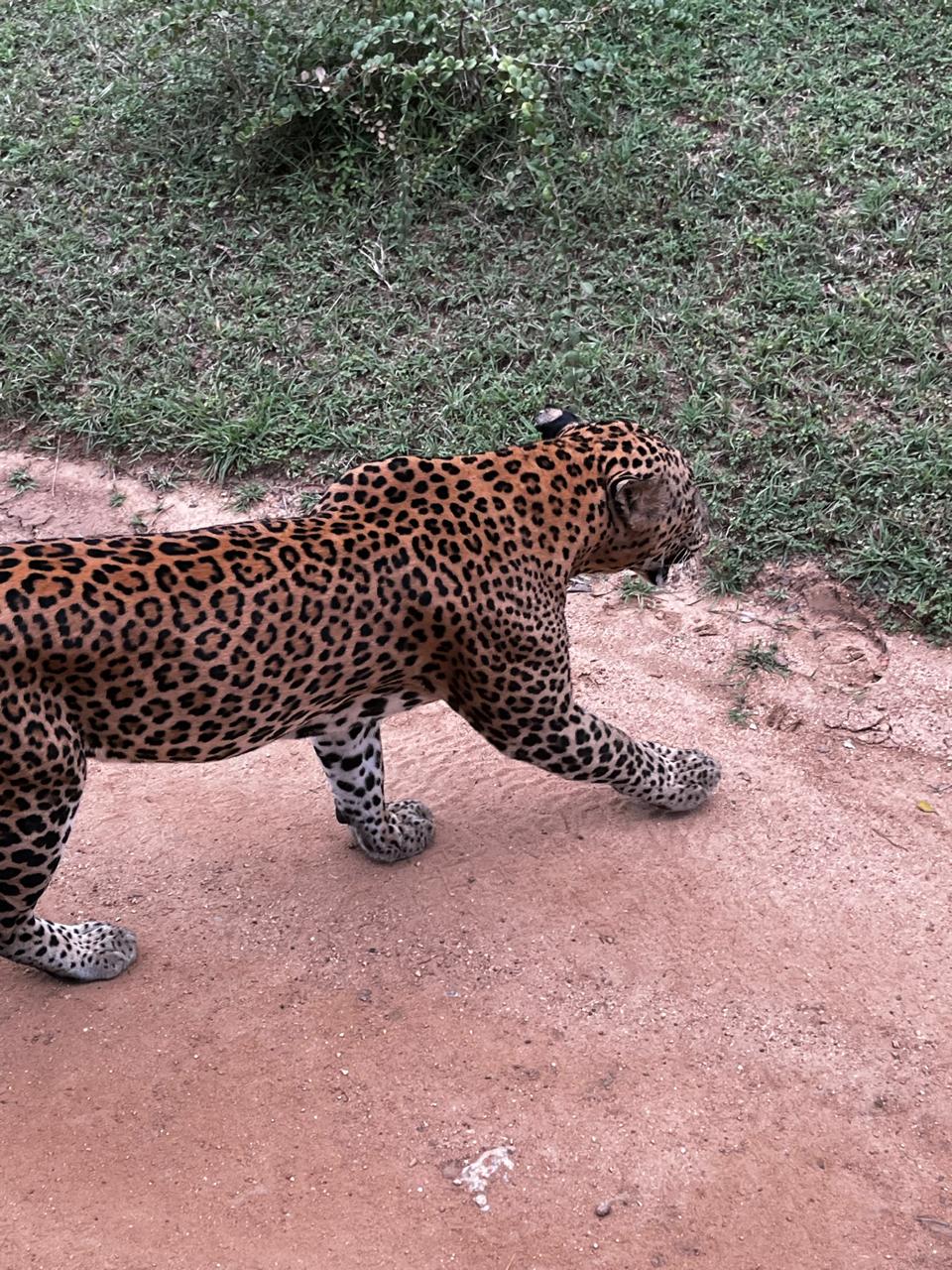 Colombo taxi airport gallery image